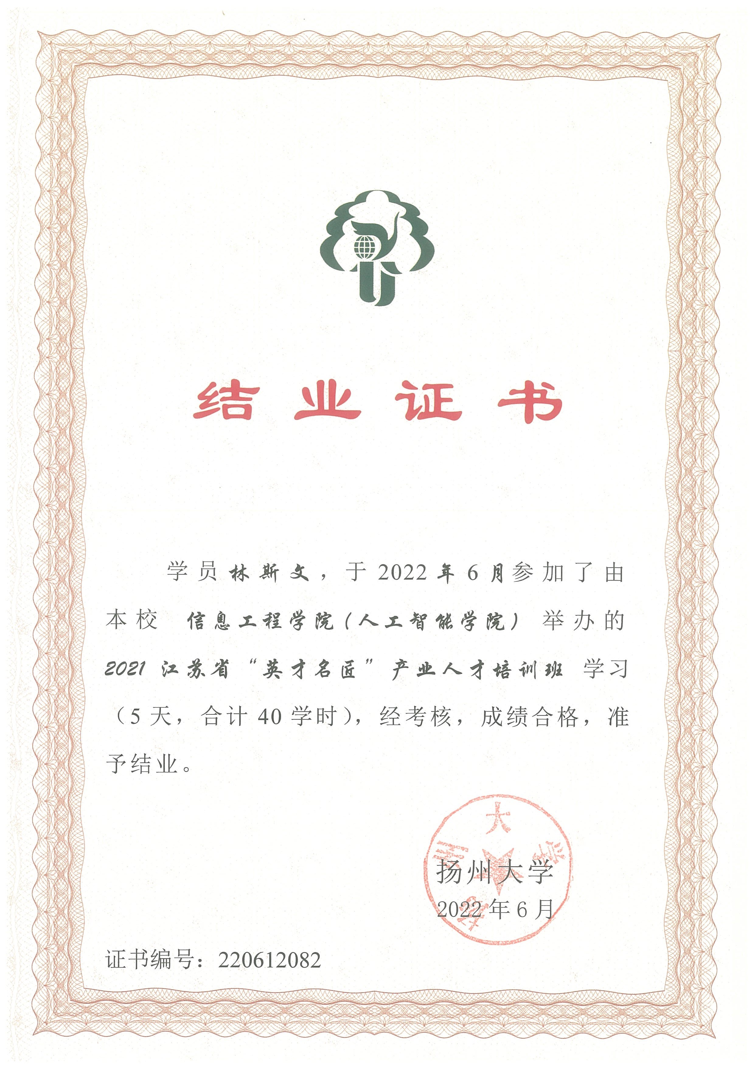 能力证书 1